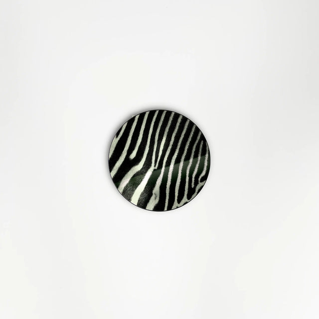 Zèbre pour covering Free Box Pop TV