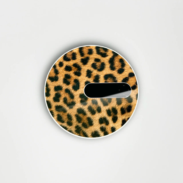 Félin pour covering Free Box Pop internet