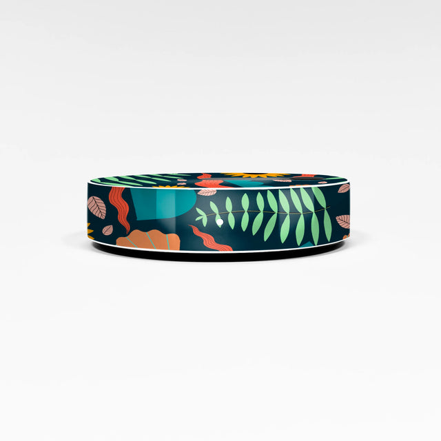 Promenade pour covering Free Box Pop internet