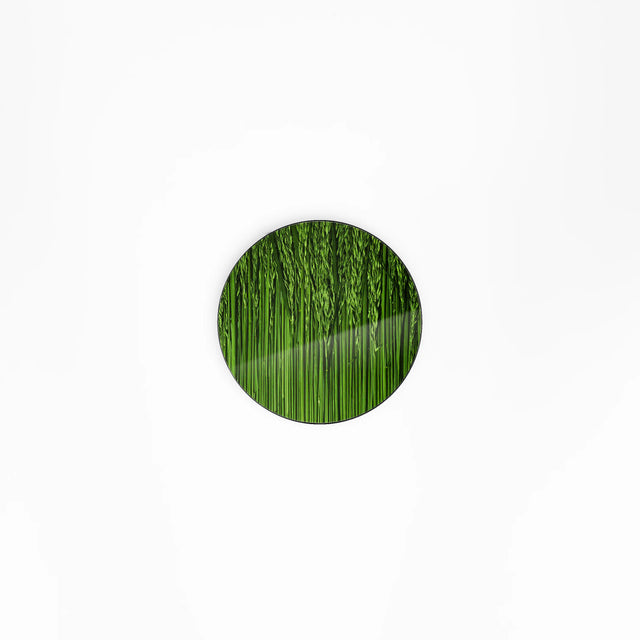 Paturin végétal pour covering Free Box Pop TV